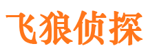 镇安外遇出轨调查取证